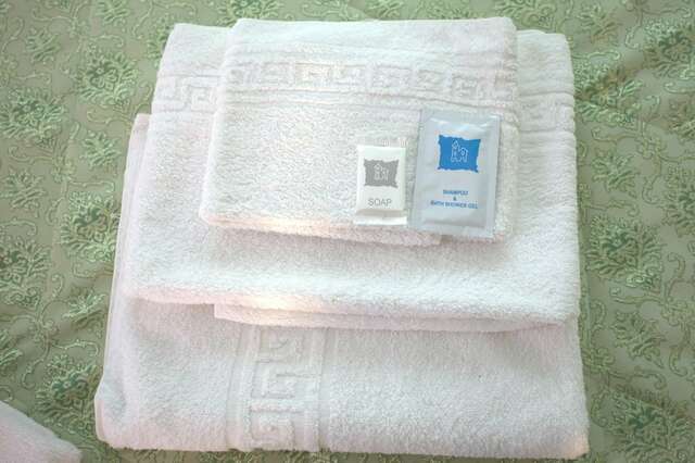 Гостиница Сияние Севера Вельск-7